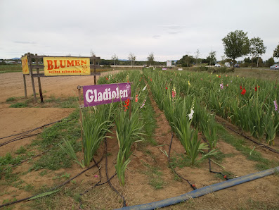 Blumen zum Selberschneiden
