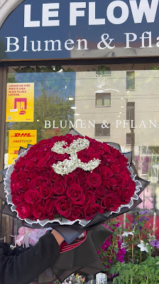 Le Flower Blumen & Pflanzen