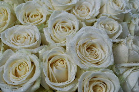 simply-flowers