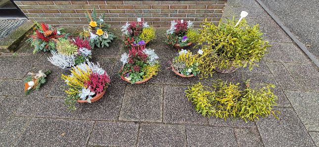 Blumen Weiler