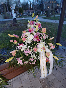 Blumen Meier