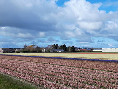 Blumen im AEZ, Inh. Waltraud Gonder