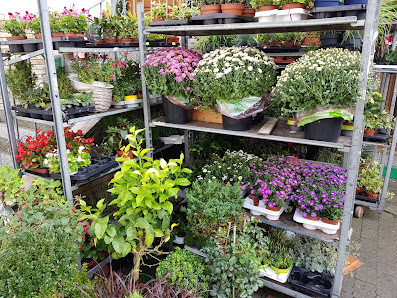 Das Blumenstübchen Heike Lang