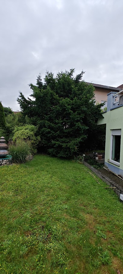 Baum und Gartendienst Schmidt