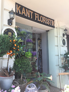 Kant Floristik