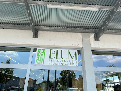Blum Pflanzen u. Blumengalerie Inh. Sebastian Blum