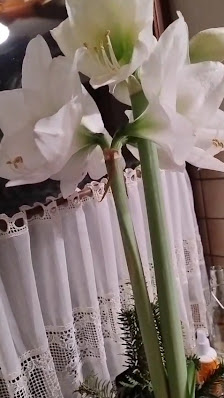 Petra Frank Blumen und Geschenke Galerie