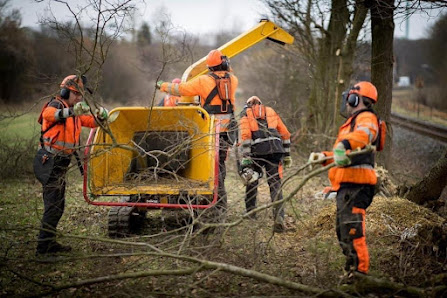 GFL GmbH Baumfällung, Rodungsarbeiten, Abrissarbeiten,Dachreinigung, Baggerarbeiten - Fulda-