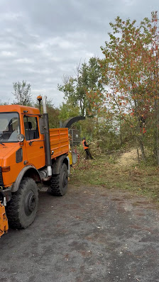 GFL GmbH Baumfällung, Rodungsarbeiten, Abrissarbeiten,Dachreinigung, Baggerarbeiten - Fulda-