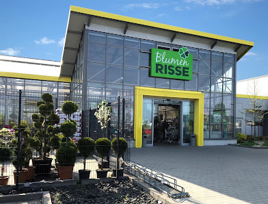 Blumen Risse Blumenmarkt Gelnhausen