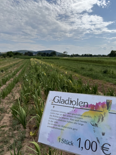 Blumen selbst schneiden
