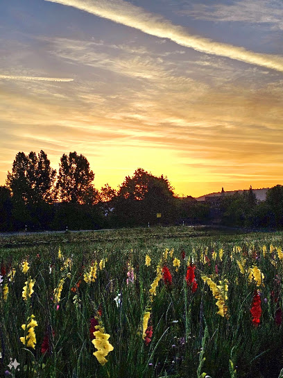 Blumen selbst schneiden