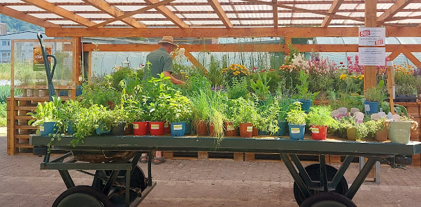 Grün & Grün Garten- und Landschaftsgestaltung