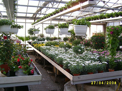 Scherfer Garten- und Landschaftsbau