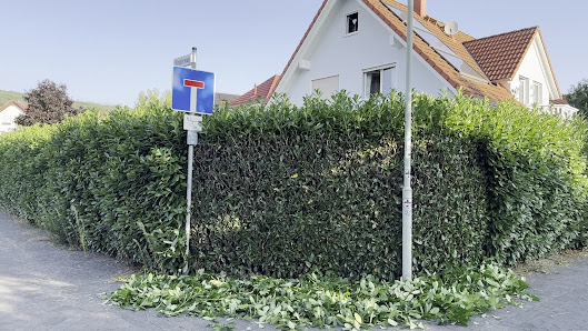 Gartenpflege Visoka