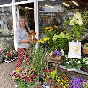 Blumen Hydro Partner