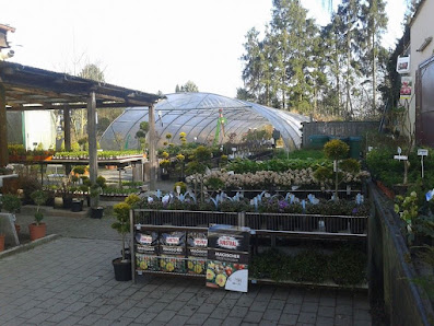 Gartencenter Allerhand