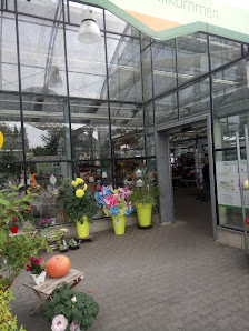 Blumenhof Pfeil