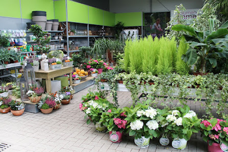 blumen zimmer