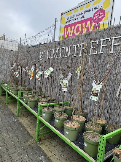 Blumentreff Westerburg