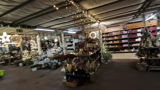 Gartencenter Bergerhoff