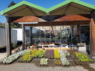 Blumen Schardt - Florales & Gestaltung