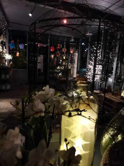 Chamäleon Blumen und mehr