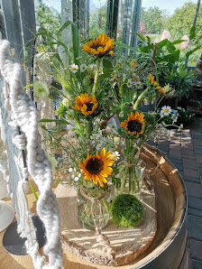 Chamäleon Blumen und mehr