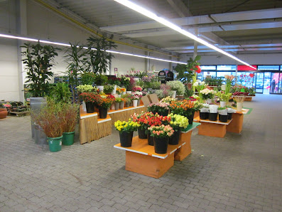 Gartencenter Allerhand