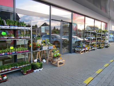Gartencenter Allerhand