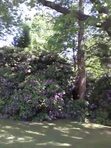 Blumenhaus Kahl am Seehof