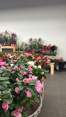 ABC Floristik