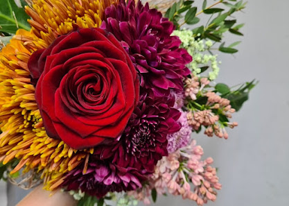Blumen König GmbH