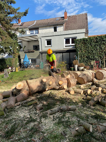Astreine Baumarbeiten – zertifizierter Baumpfleger Sascha Huth