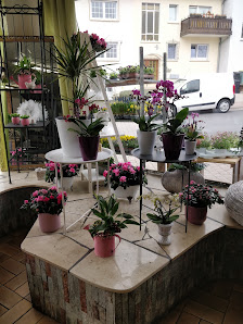 Blumen Betz Inh. Lena Betz