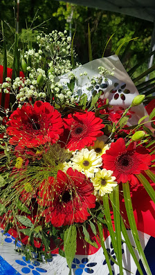 Blumen frische Blumen Obertshausen