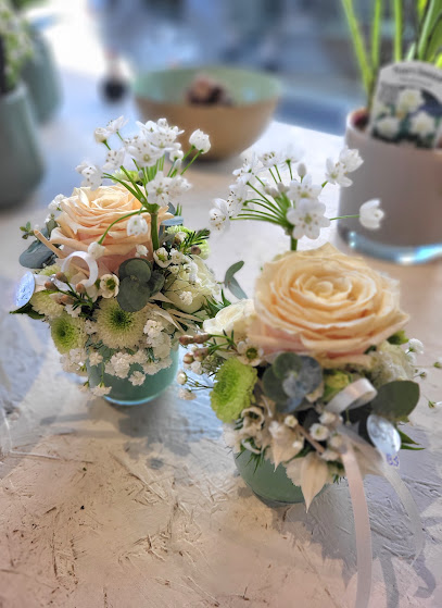 Blumen Coy Dieburg