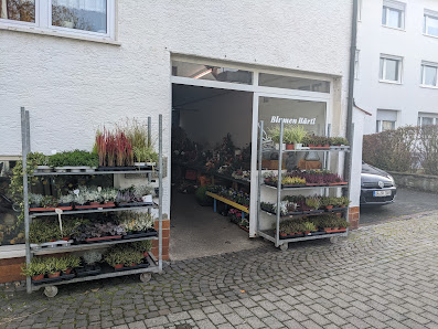 Blumen Härtl - Mühlheim am Main