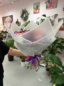 Iris Blumen und mehr - HH-Bergedorf