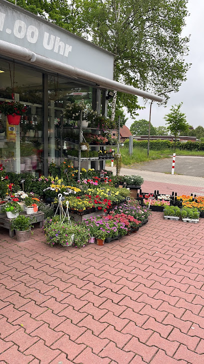 Blumen - Bawolski