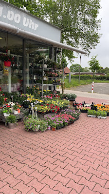 Blumen - Bawolski