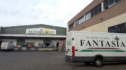 Fantasia Blumen Im- und Export GmbH