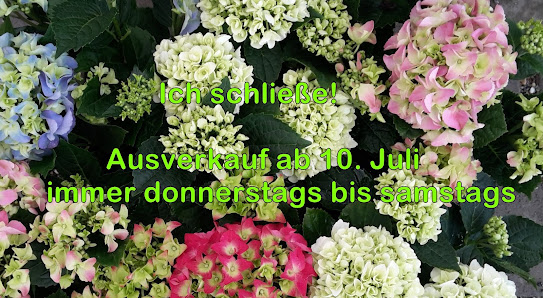 Blumen Hägele