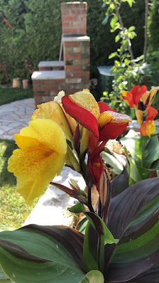 Gartenkonzepte & Gartenberatung