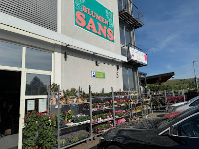 Blumen Sans