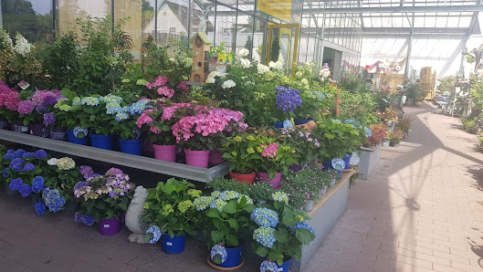 Welter Blumen und Pflanzen Michelstdt, Gartencenter