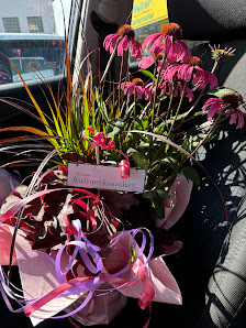 Welter Blumen und Pflanzen Michelstdt, Gartencenter