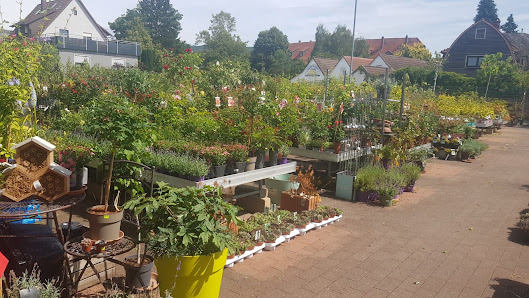 Welter Blumen und Pflanzen Michelstdt, Gartencenter