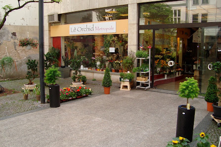 Le Orchid UG