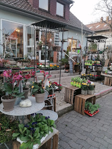 Johannas Blumenhaus